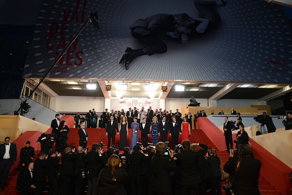 401601_10151682473477292_803347918_n