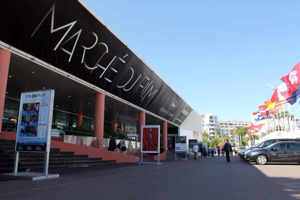 428637_10151656040292292_2124019190_n