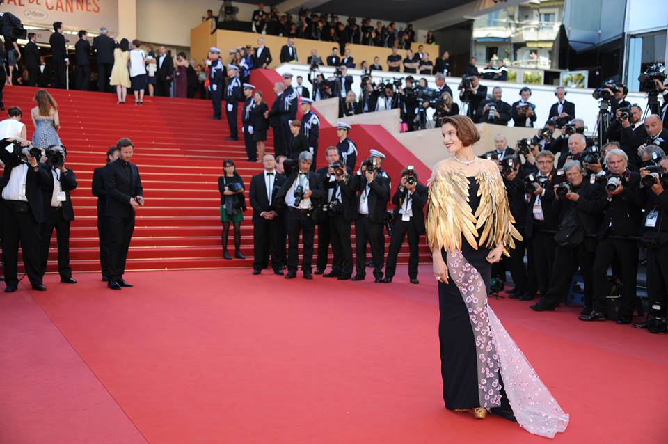 487521_10151689351917292_1262620714_n