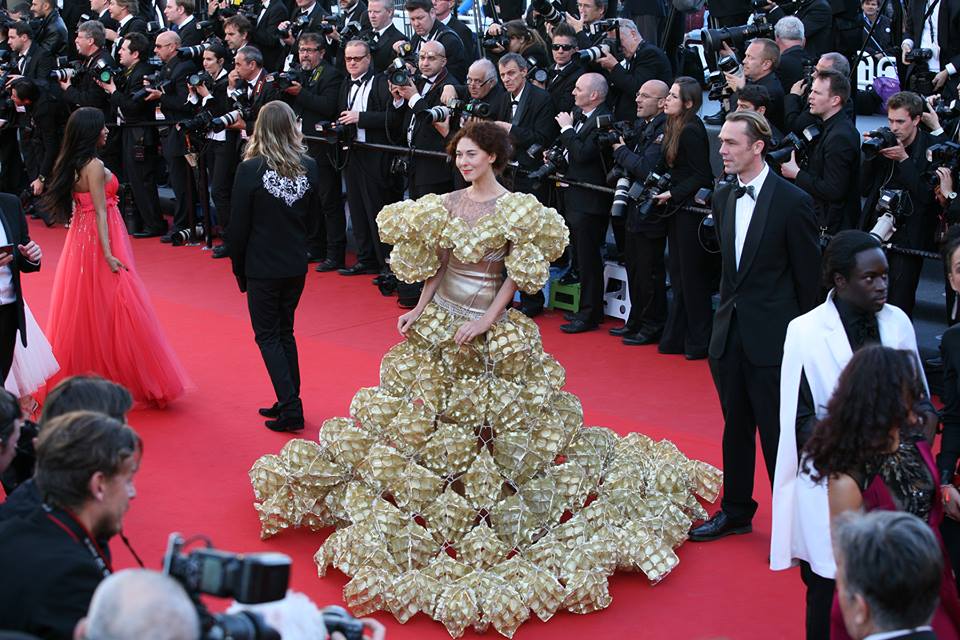 943586_10151673694337292_1934895457_n