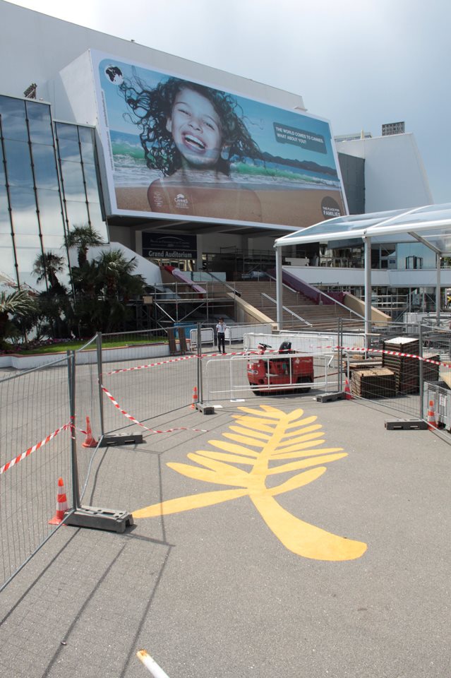 946498_10151654630102292_195927543_n