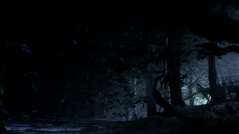 GOT-7-980x551
