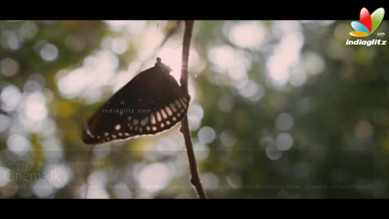 Santhosh Sivans Inam ( Ceylon )Tamil Film Teaser _ Arvind Swamy, Karunas_ Trailer[11-57-30] (5) [800x600]